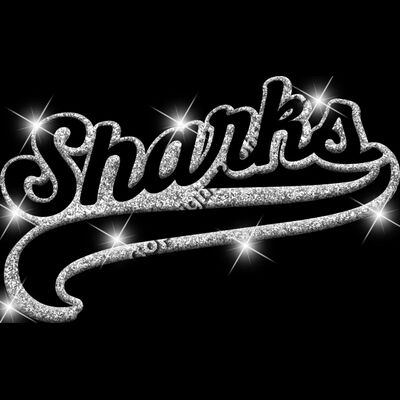 GLT78 SILVER GLITTER Thumbnail